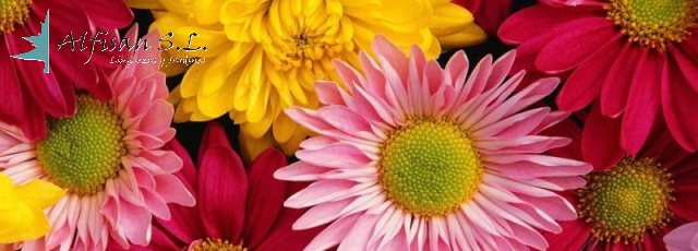 Empresa de Limpieza, mantenimiento de jardines, conserjes y servicios Auxiliares