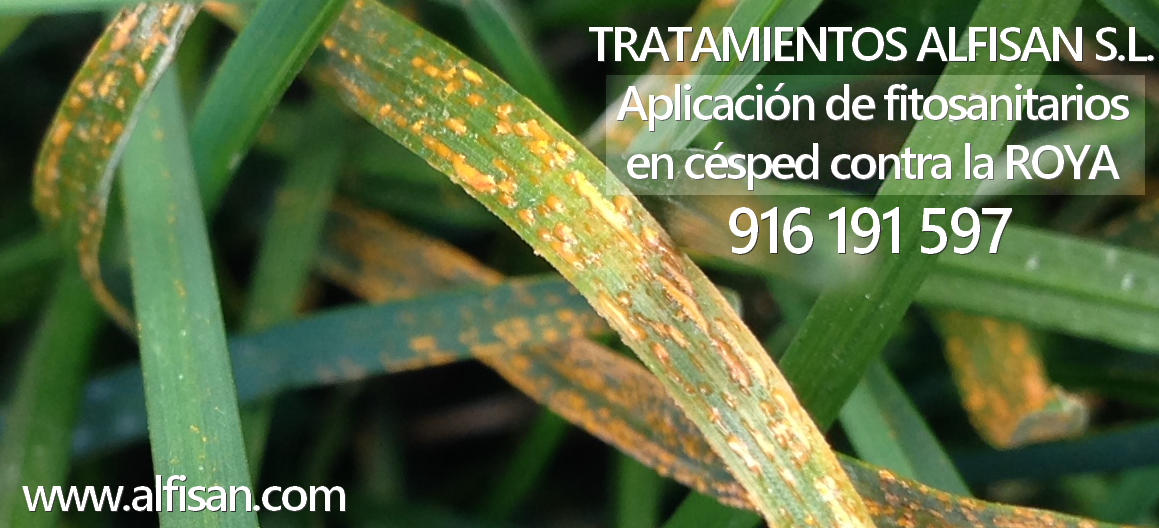 Tratamientos Fitosanitarios