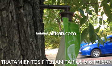 tratamiento de endoterapia