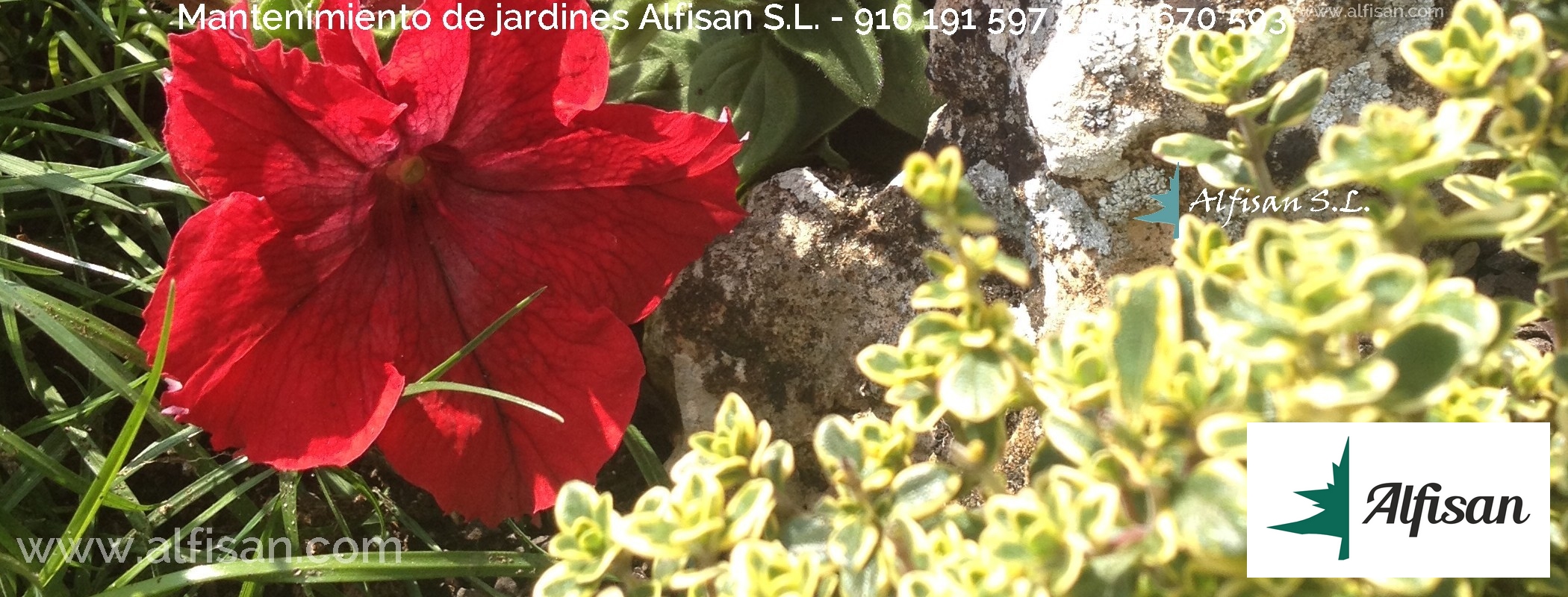 Jardineria Alfisan Getafe