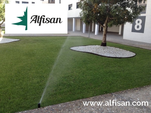 Mantenimiento de jardines comunitarios Getafe