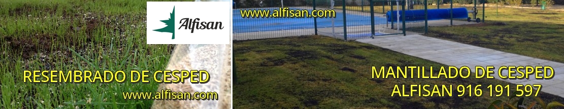 Instalación de riego automático