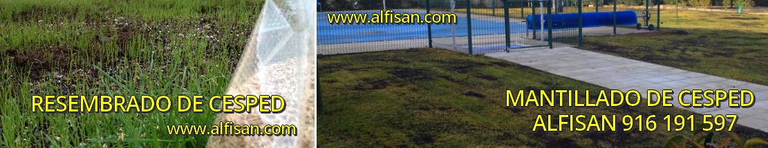 abonado cesped fuenlabrada