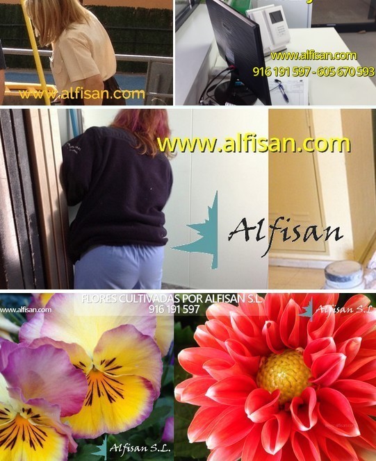 Mantenimiento de urbanizaciones San Sebastián de los Reyes