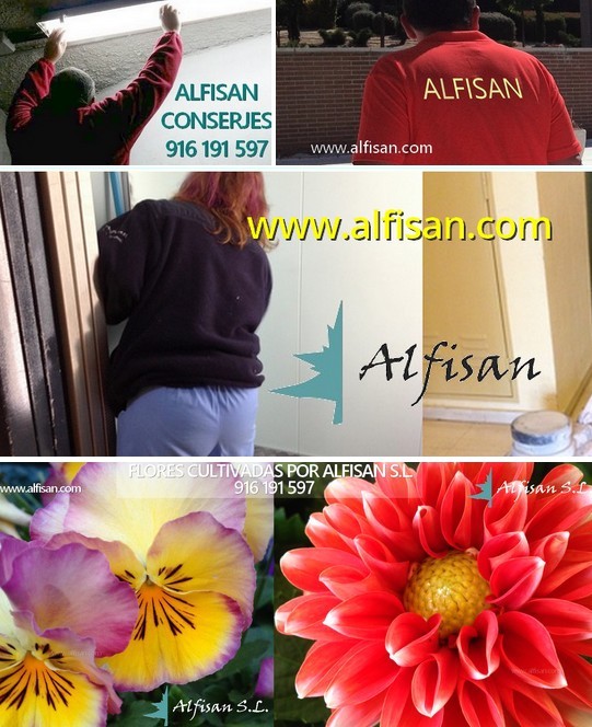 Mantenimiento de urbanizaciones Arroyomolinos