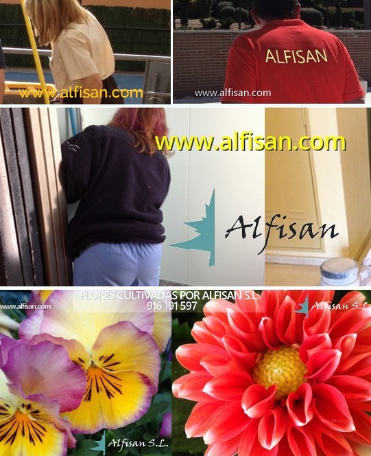 Mantenimiento de urbanizaciones Pozuelo de Alarcón