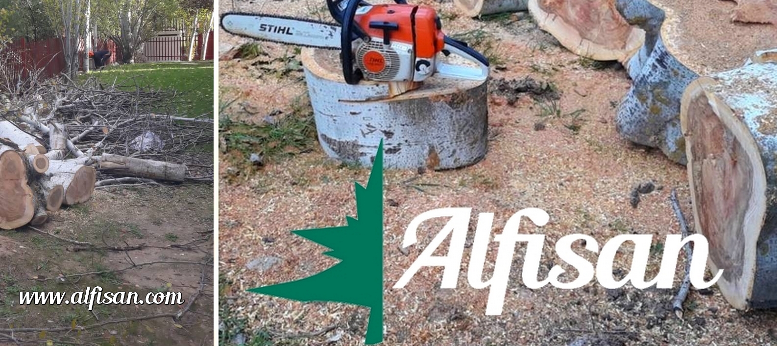 Tals y podas de árboles