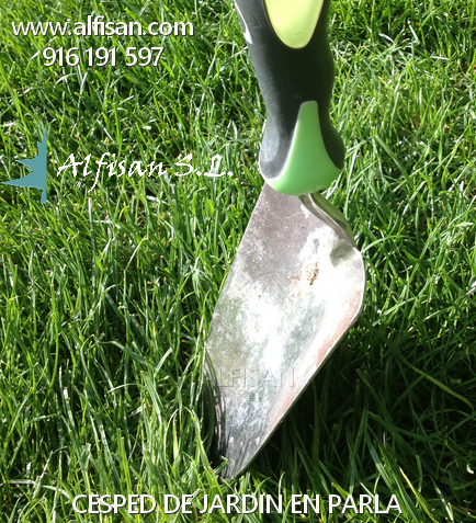 Tareas del jardin en primavera